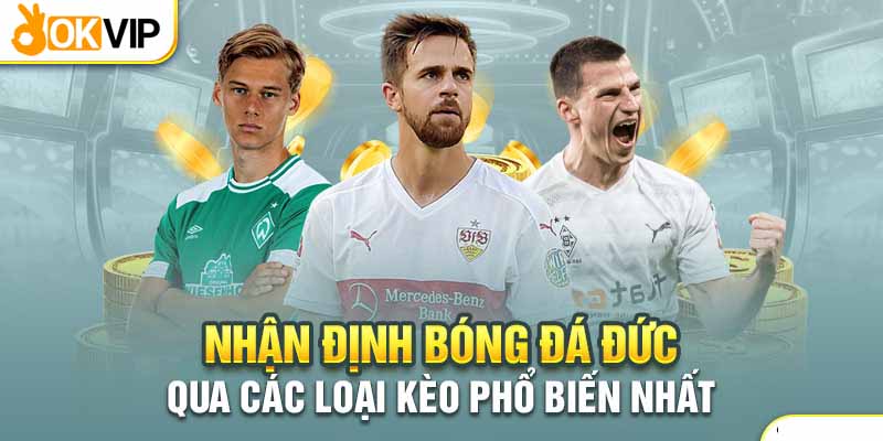 Hai tỷ lệ kèo bóng đá Đức phổ biến hiện nay