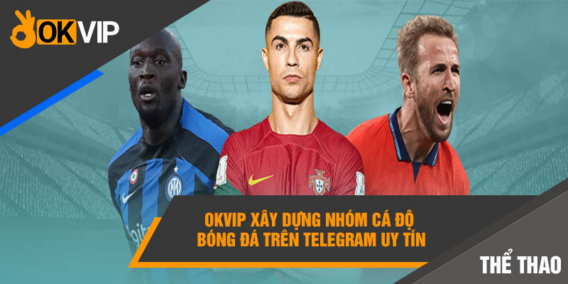 Okvip xây dựng nhóm cá độ bóng đá trên Telegram uy tín