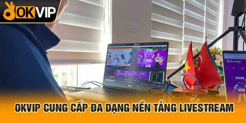 Nền tảng live bóng đá trực tiếp